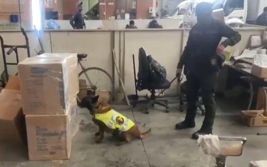 Candy, la perrita que integra el escuadrón antidrogas de la Policía en Cundinamarca.