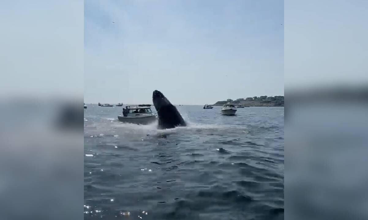 Afortunadamente el hecho no pasó a mayores, pero las autoridades si emitieron advertencias tras lo ocurrido.
