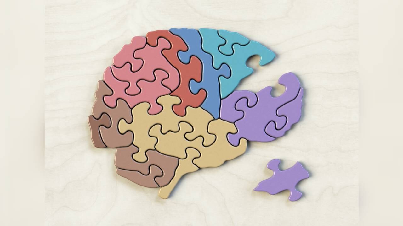 Expertos destacan que el ginkco biloba mejora la memoria, la velocidad de pensamiento y la atención. Foto: Gettyimages.