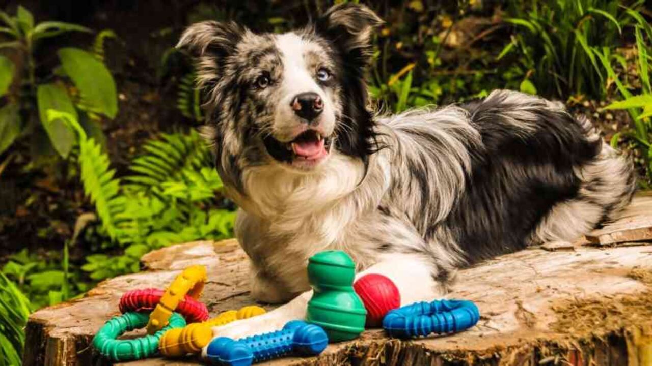 Coltoys cerró una negociación con el mismo cliente para despacharle otros productos por un monto de US$150.000. Cortesía Coltoys.