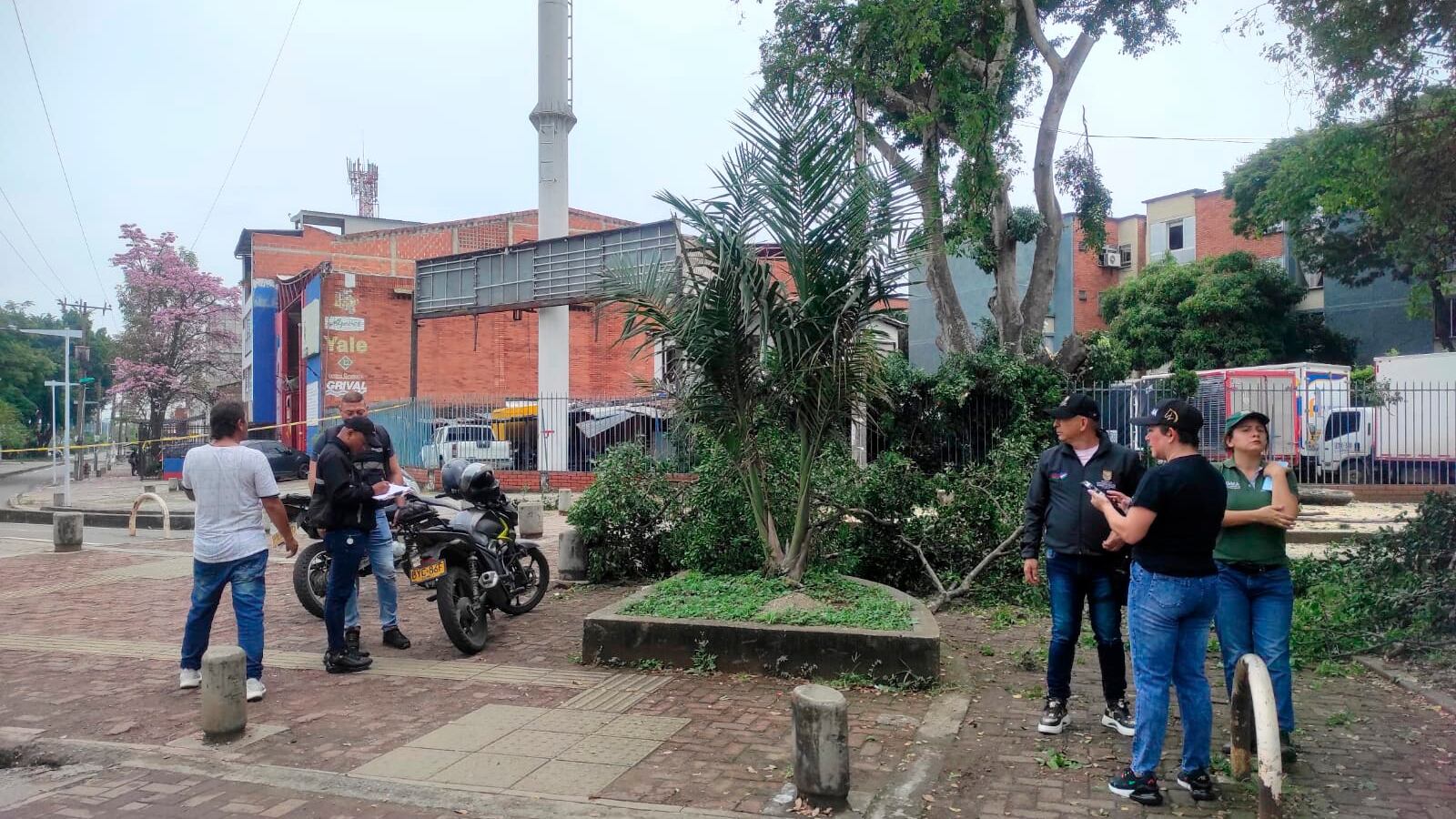 Nuevas talas ilegales fueron detectadas por el Dagma en el norte de Cali.