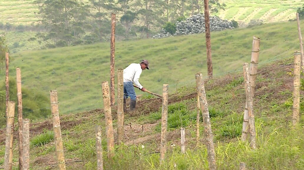 Campesinos del Valle del Cauca