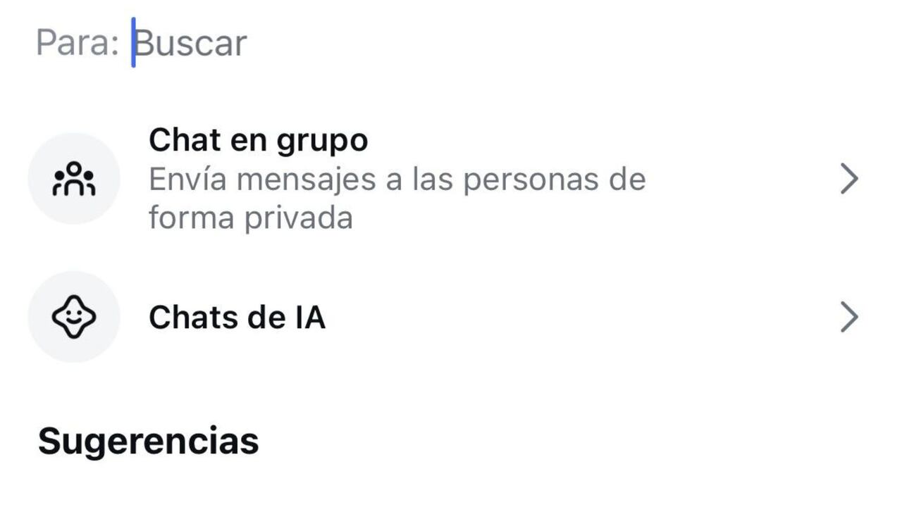 Estos chats con IA puede ser personalizados según el usuario prefiera.