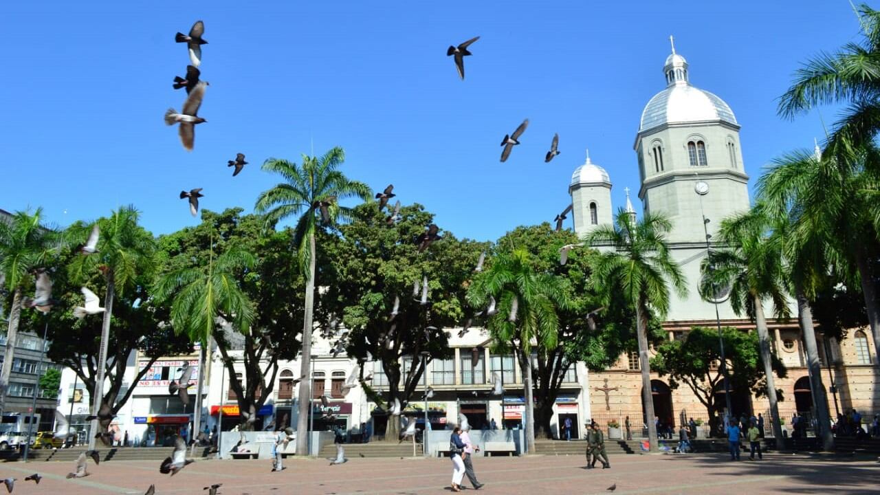 El éxito del plan de recuperación de la Alcaldía de Pereira se evidencia en los resultados del Índice de Gini, de 0,426, el menor valor relativo de los últimos 10 años de Pereira y su Área Metropolitana.