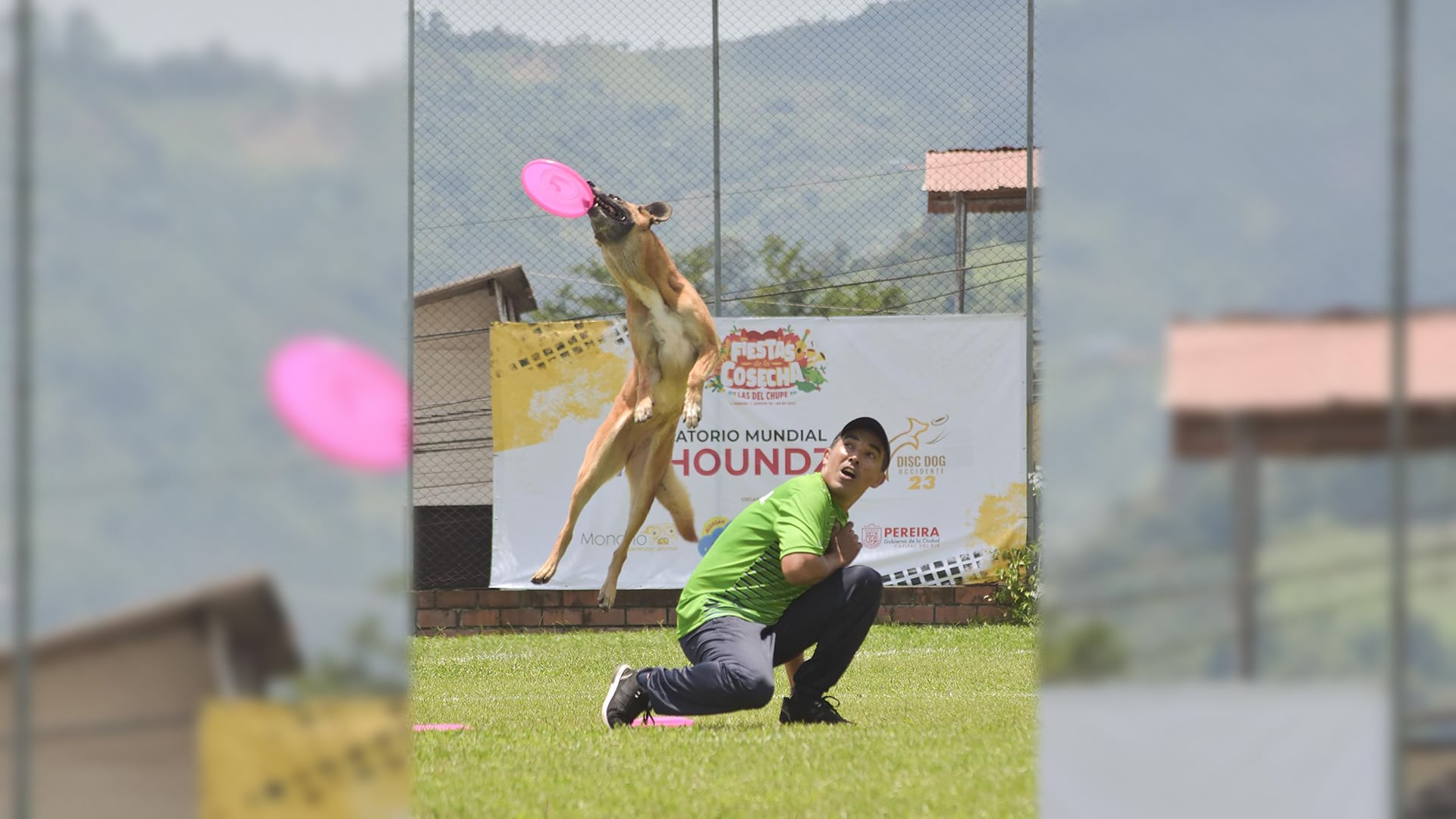 4 Patas, Destinos Pet Friendly