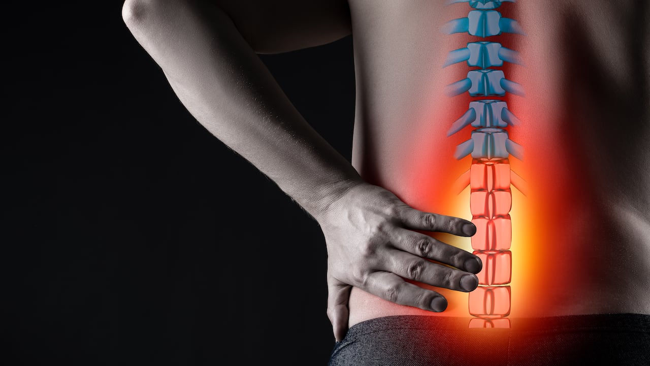 La columna es la encargada de dar soporte al cuerpo; se debe cuidar.