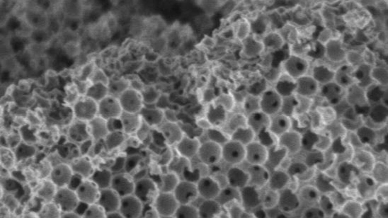 La esponja de cerámica porosa fabricada en el estudio (aumentada 20.000 veces).