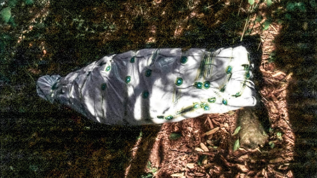 Los investigadores encontraron muestras de cabello en el carro incautado por la Sijín a la dueña de Beauty Láser.