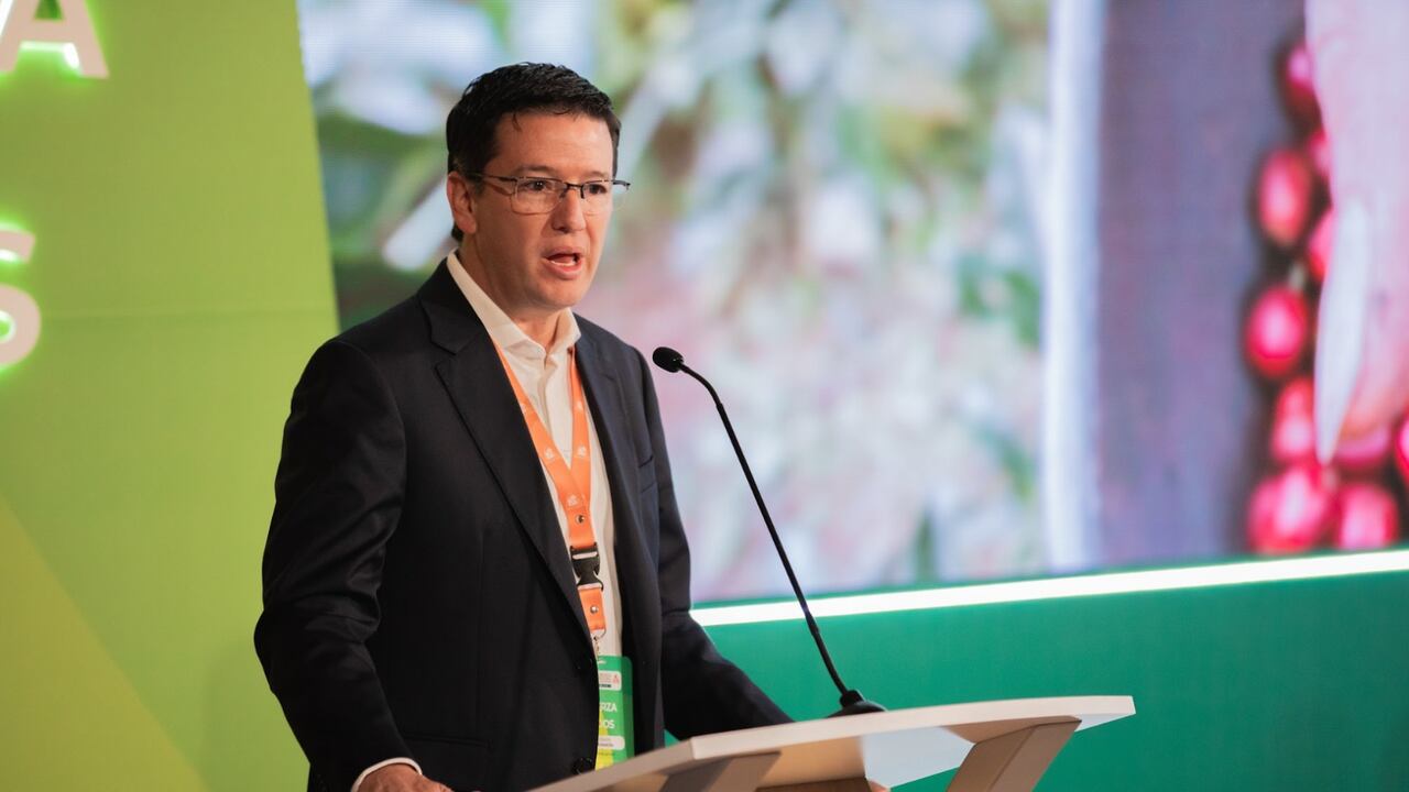Germán Bahamón, gerente de la Federación de Cafeteros