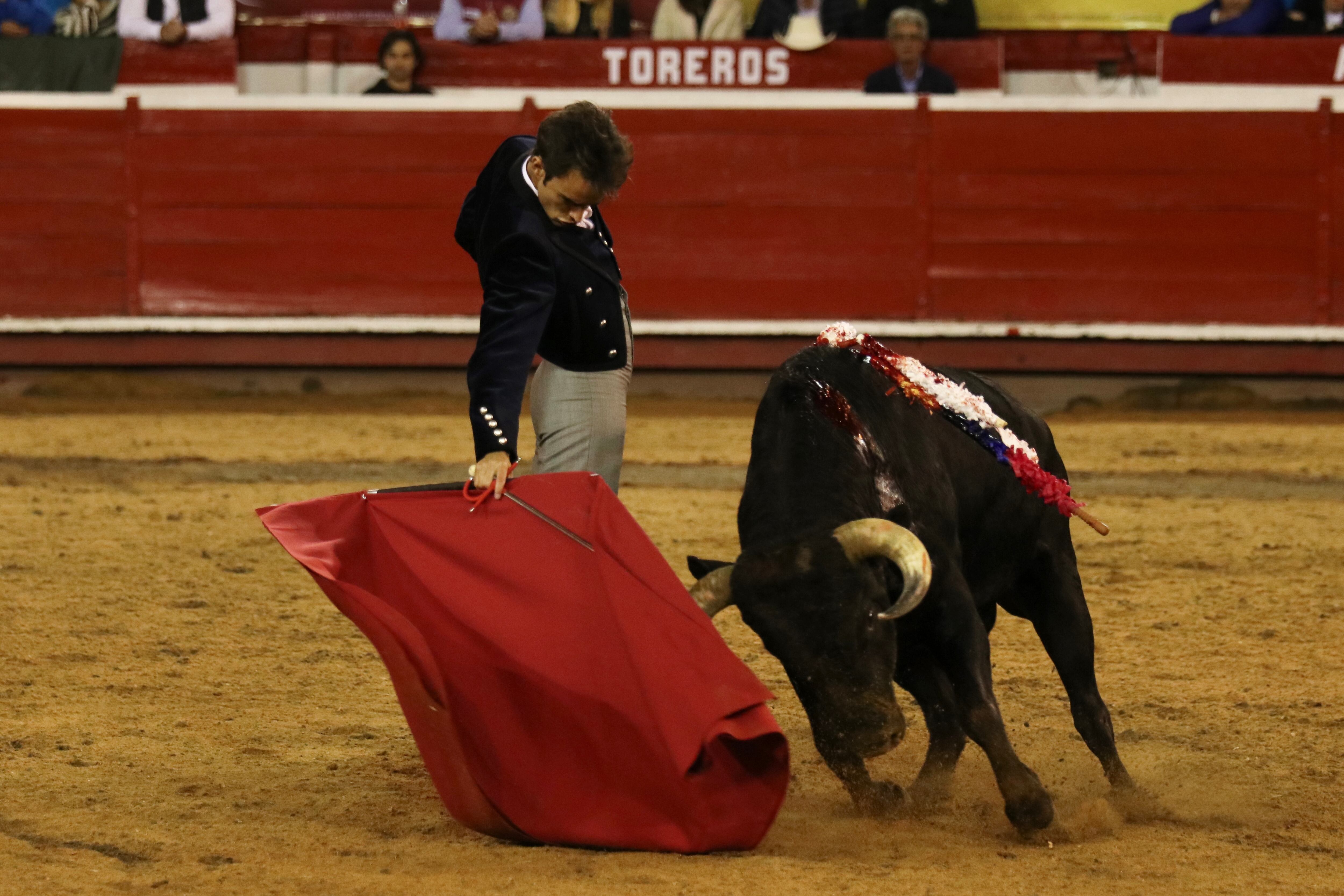 El torero colombiano Luis Miguel Castrillón ejecutó una gran faena, pero perdió la opción de triunfo por sus repetidos fallos con la espada.