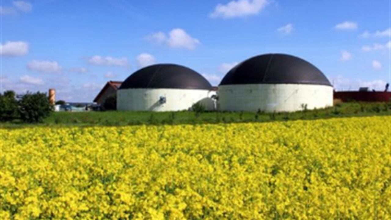Esta es una planta de producción de biogás, un combustible que se genera a partir de basura.