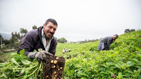 Durante esta administración, más de 1,2 millones de personas ingresaron por primera vez al sistema financiero formal a través del Banco Agrario.