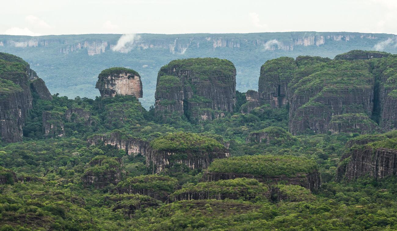 El Parque Nacional Natural Serranía del Chiribiquete resguarda imágenes de arte rupestre que reflejan la cotidianidad de algunos de los primeros pobladores en Colombia.