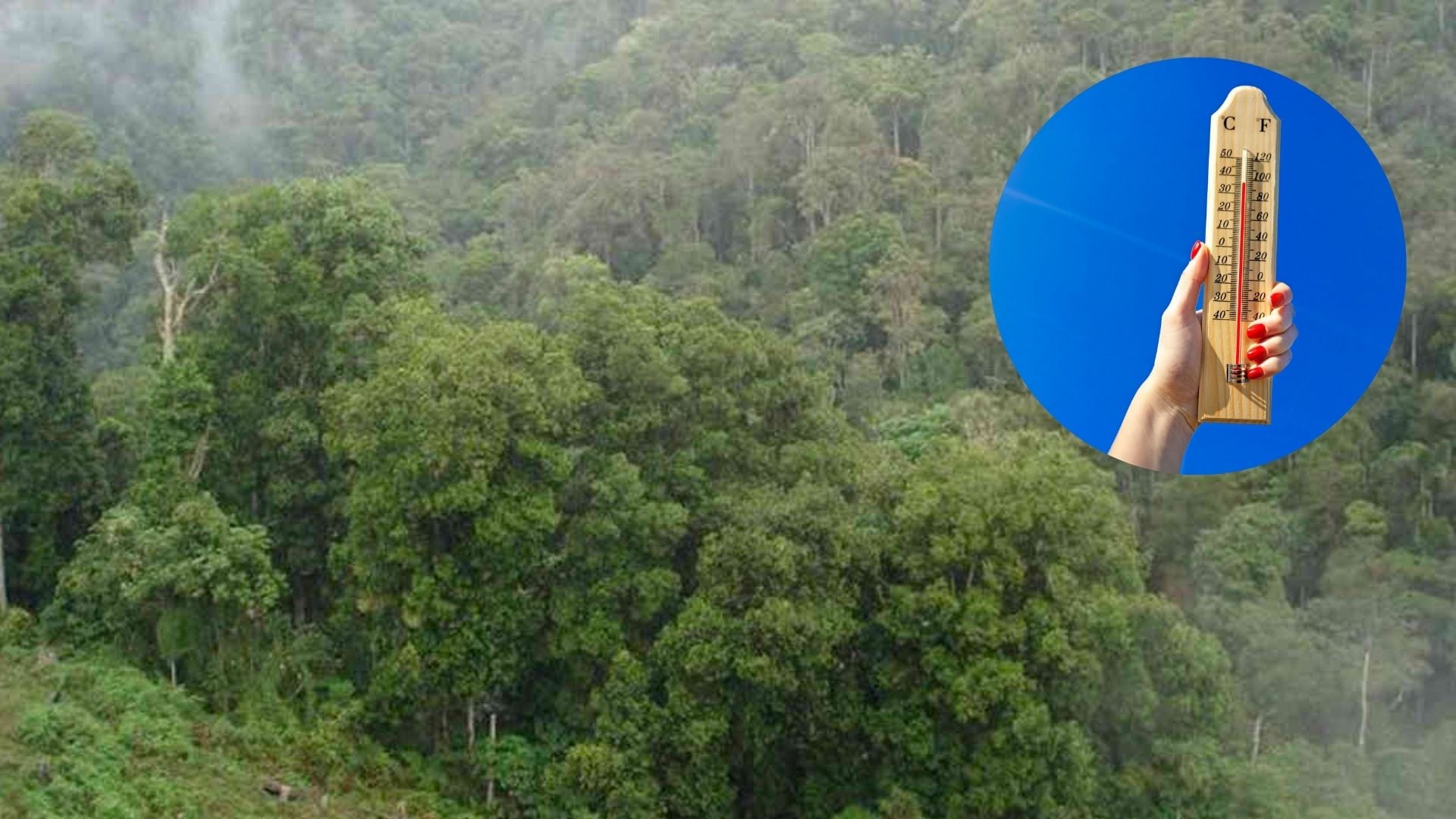 Las lluvias más intensas se concentrarán en el Pacífico, la Orinoquía y la Amazonía, mientras que el Caribe y parte de la región Andina tendrán tiempo seco y temperaturas elevadas.