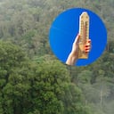 Las lluvias más intensas se concentrarán en el Pacífico, la Orinoquía y la Amazonía, mientras que el Caribe y parte de la región Andina tendrán tiempo seco y temperaturas elevadas.