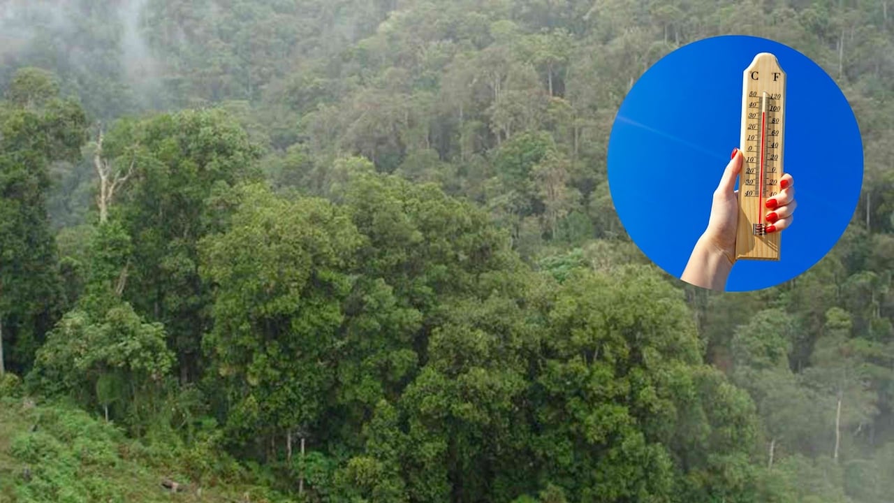 Las lluvias más intensas se concentrarán en el Pacífico, la Orinoquía y la Amazonía, mientras que el Caribe y parte de la región Andina tendrán tiempo seco y temperaturas elevadas.