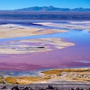 Microorganismos resistentes son los responsables de uno de los colores más llamativos de Sudamérica.