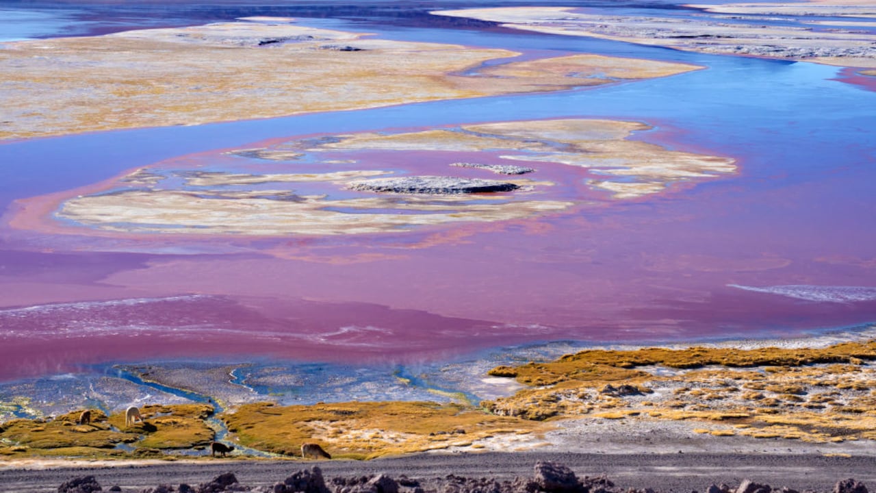 Un rincón del Altiplano boliviano destaca por una tonalidad, visible incluso desde la órbita.
