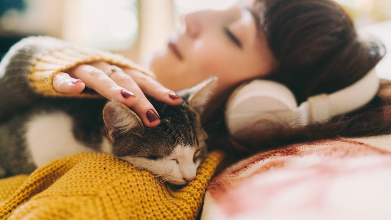 Los gatos son animales con comportamientos muy particulares.