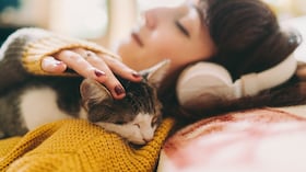 Gatos