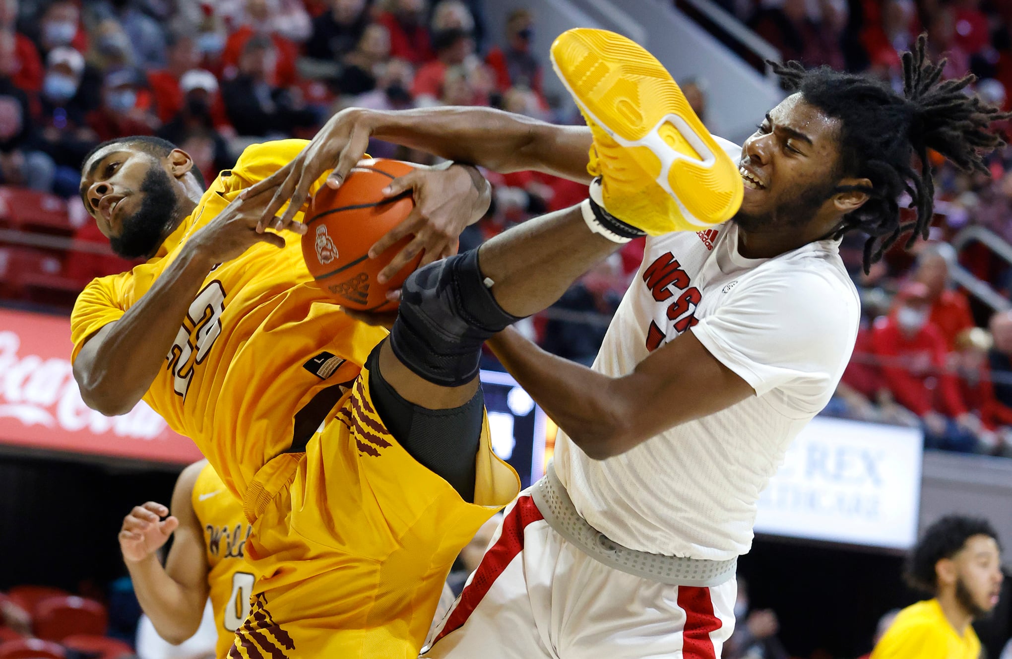 Fotos de la semana 10 dic