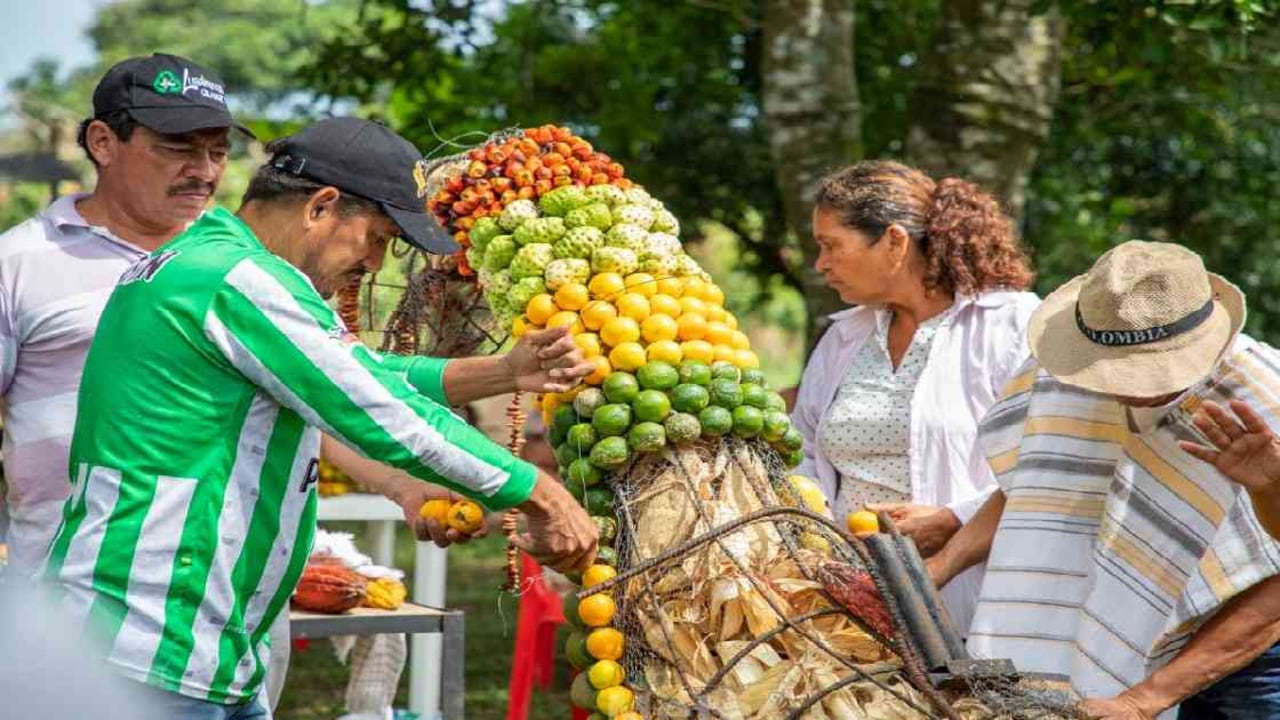 Los campesinos de la vereda Sardinata, en Granada- Meta, se reúnen para armar su carroza de frutas. Foto: Liliana García- Instituto de Turismo del Meta