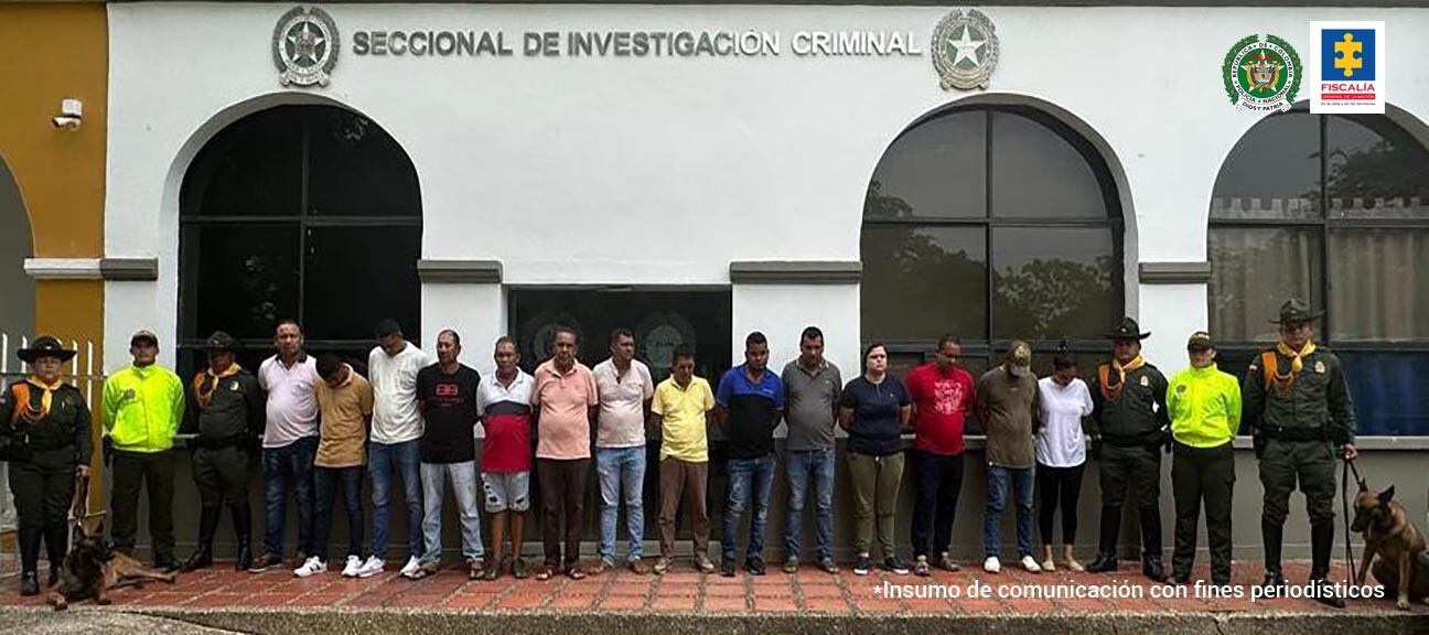 Importante golpe a red de tala ilegal en el Parque Natural Paramillo: capturadas 22 personas por arrasar con más de ocho hectáreas