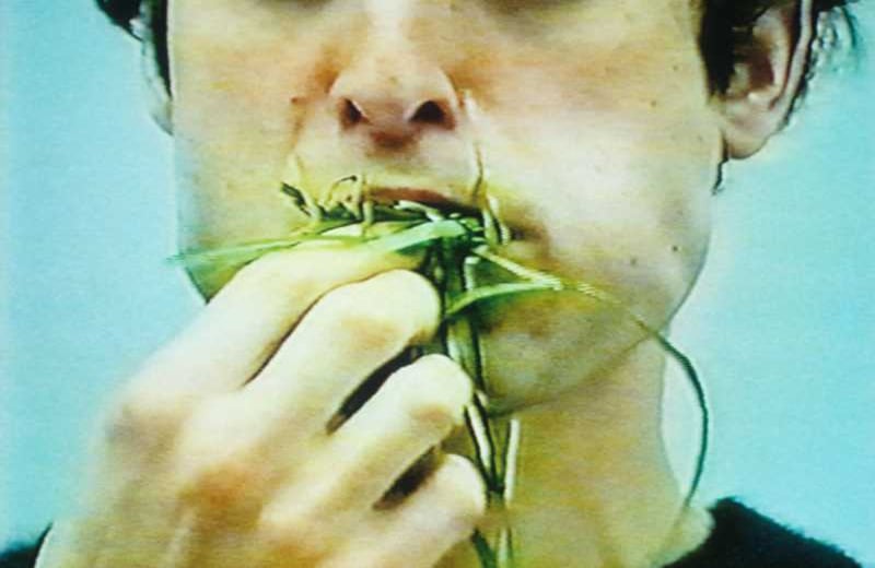 Sin título (Pedazo de césped- video que se proyecta en la muestra). Foto : cortesía Museo de Arte Universidad Nacional.