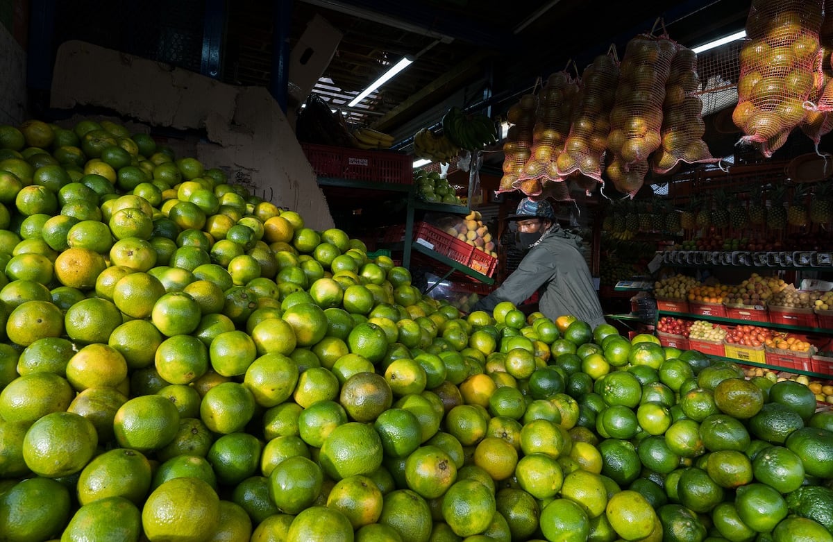 Mercados Samper Mendoza y Paloquemao
