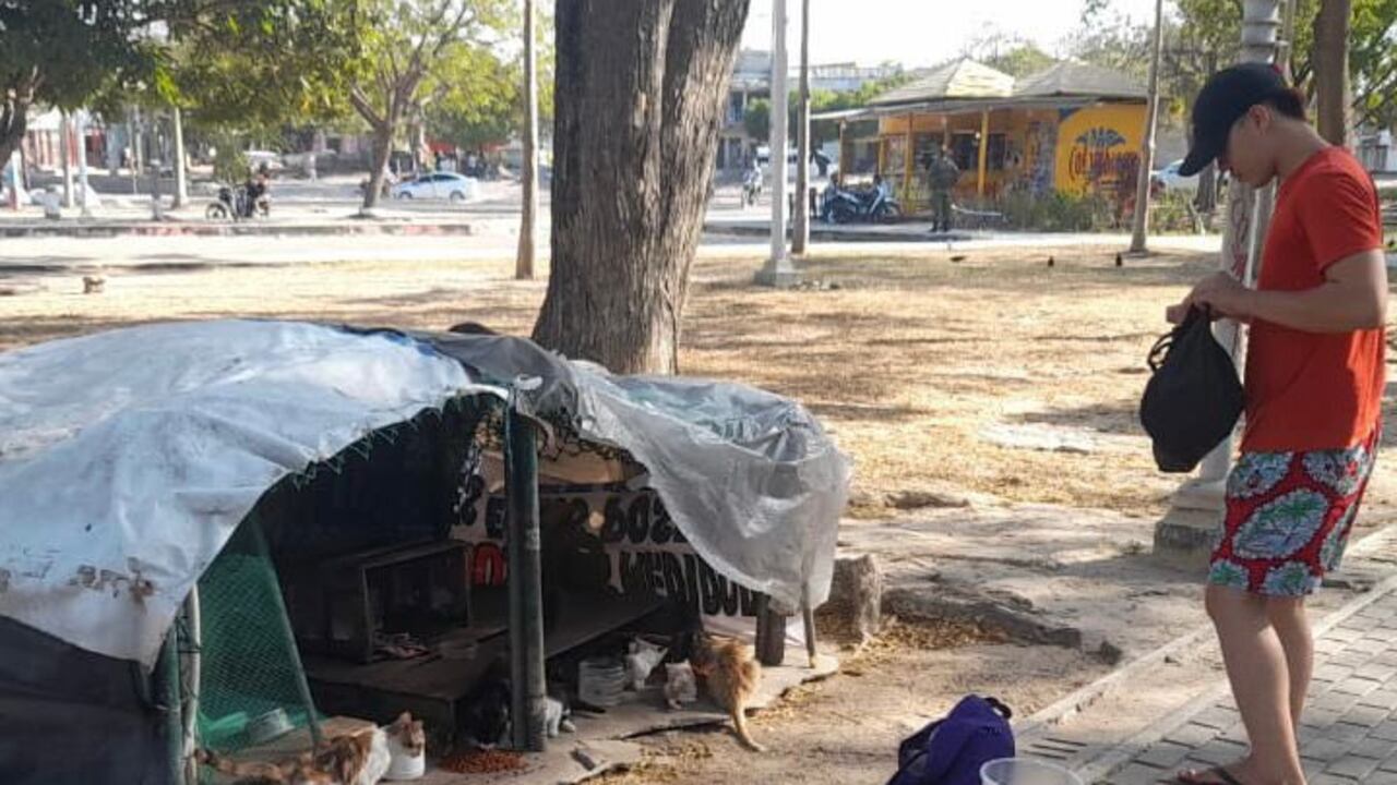 Indignación por el traslado de gatos en bolsas en Barranquilla.