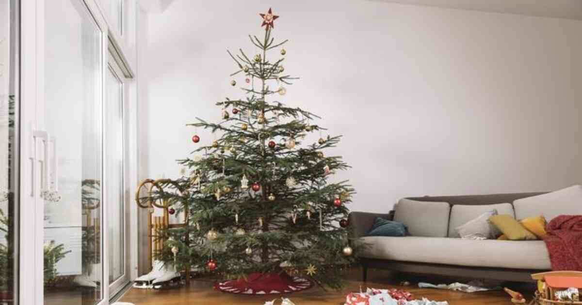 Ubicar el árbol de Navidad en el centro de la vivienda puede desequilibrar la energía, según los principios del Feng Shui.