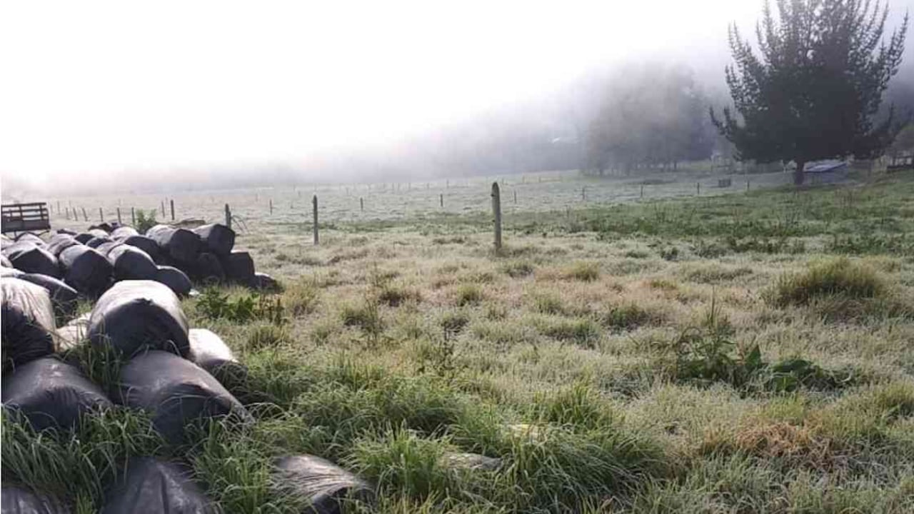 Las bajas temperaturas impactaron a varios municipios de Cundinamarca. Foto: CAR