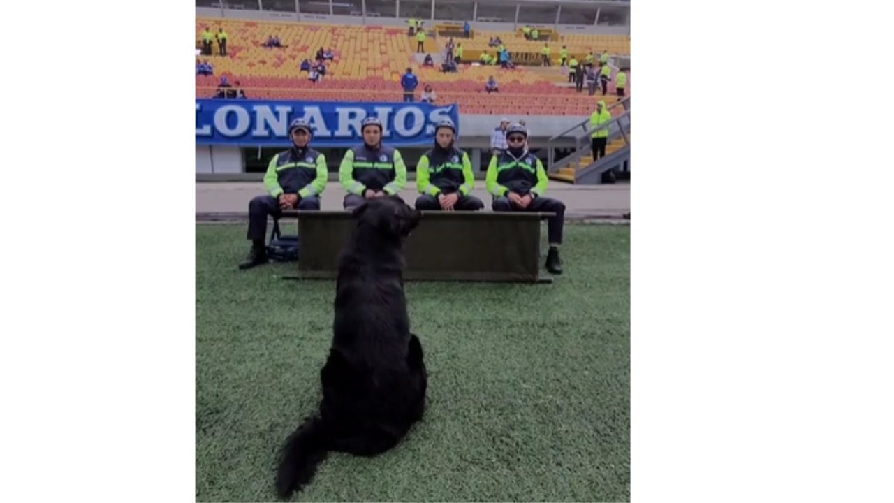 Tony Camacho fue acogido por los celadores y trabajadores del estadio