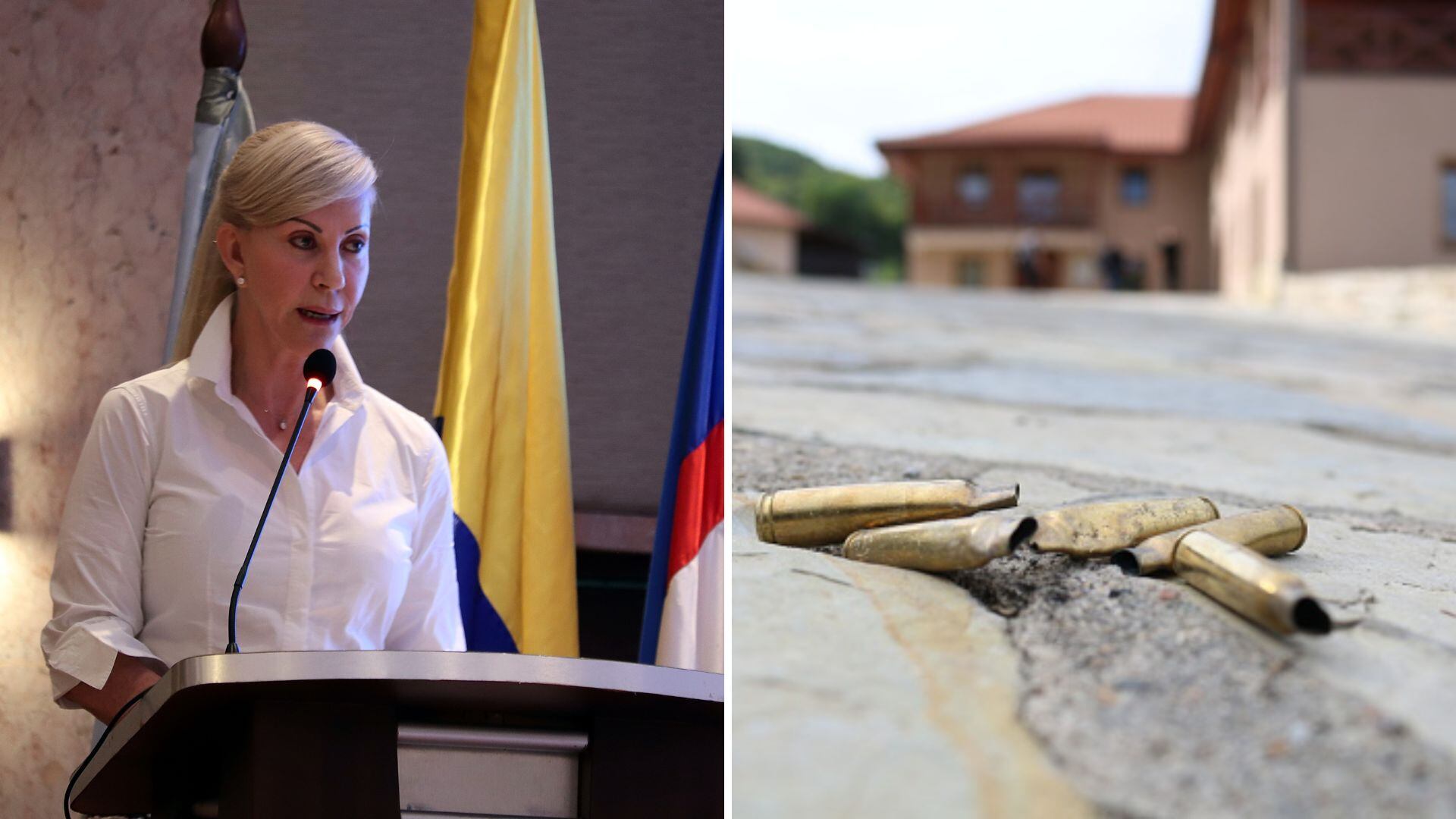 Dilian francisca toro