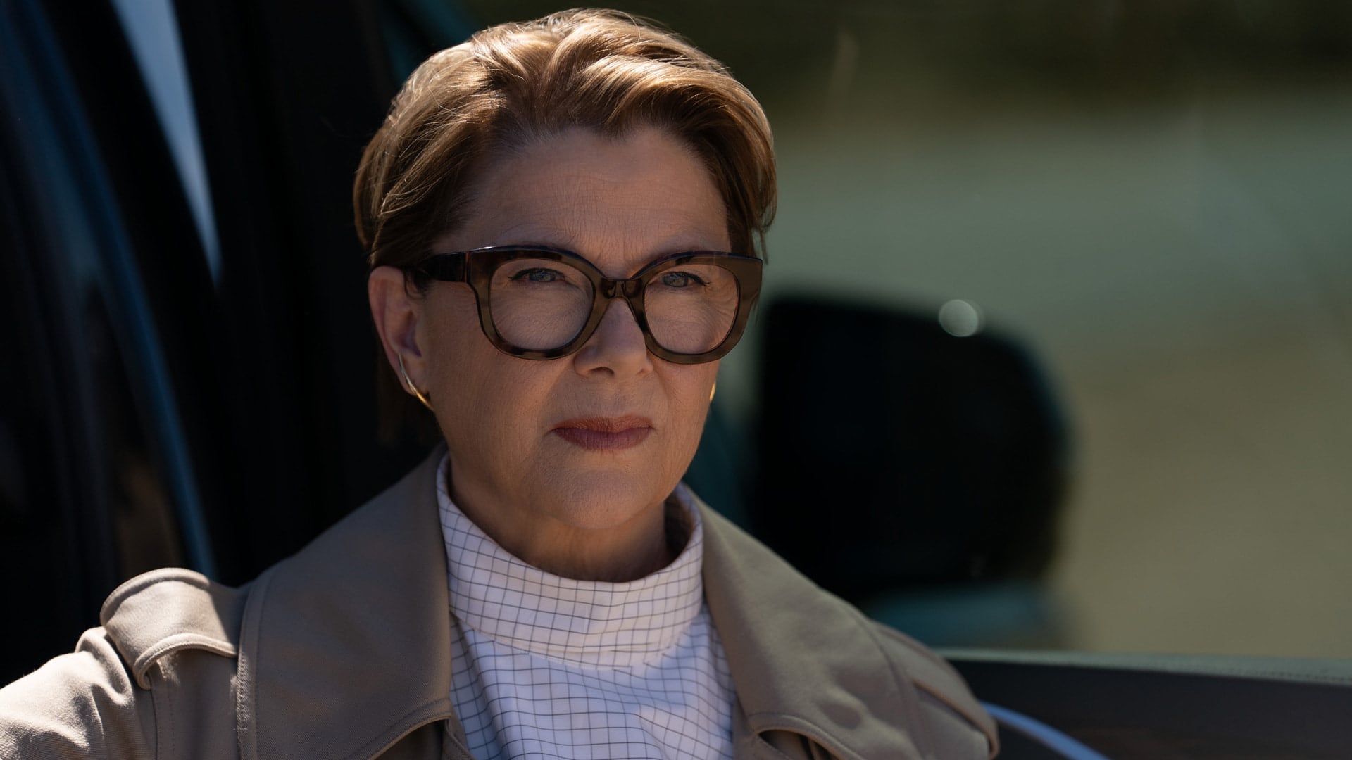 Annette Bening, cinco veces nominada al Óscar, hace de malandra, y le siente bien.