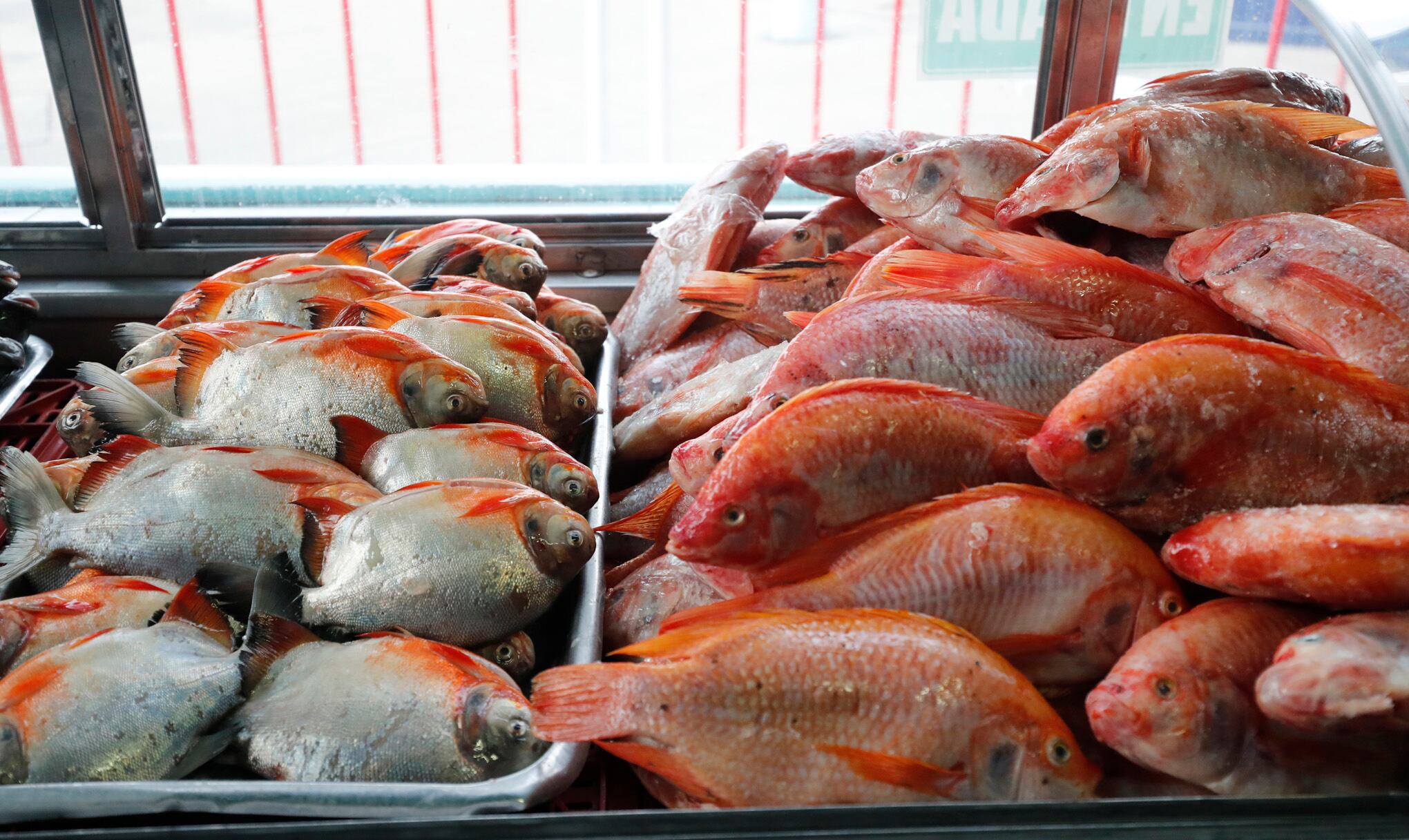 Central de Abastos de Bogotá CORABASTOS
venta de pescado de buena calidad en Semana Santa
canasta familiar alimentos