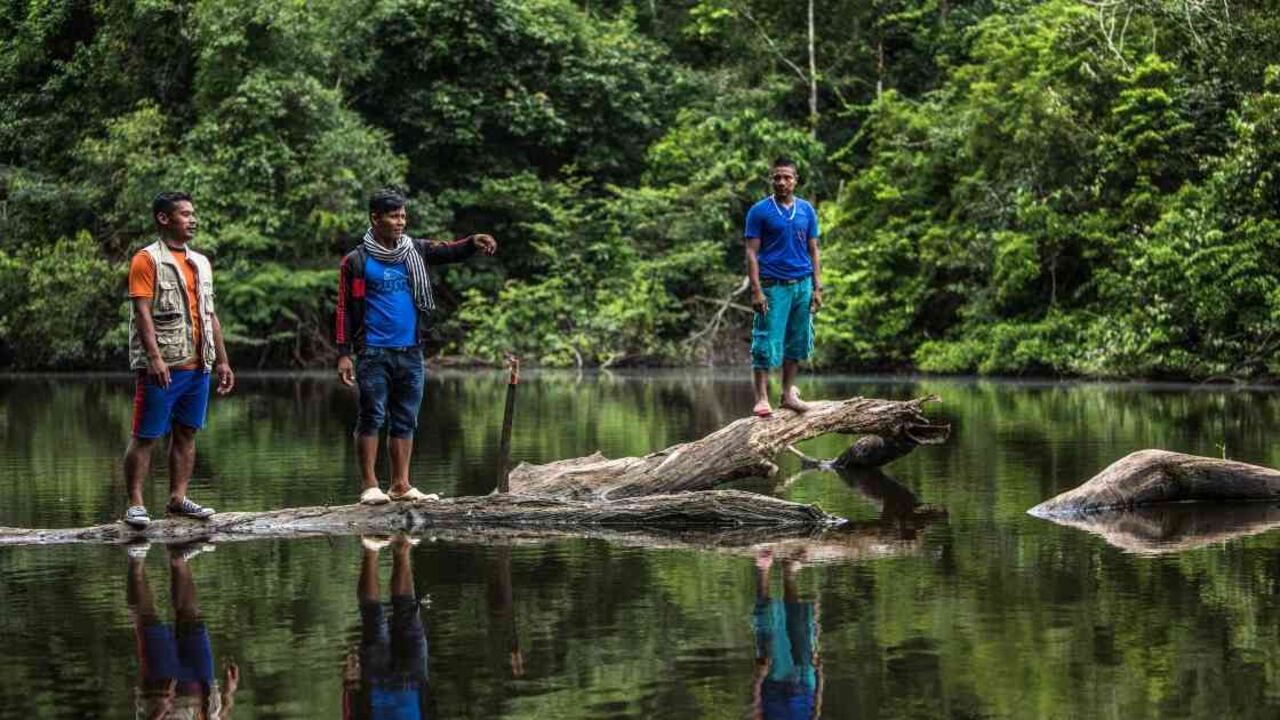 La Organización Nacional Indígena de Colombia (ONIC), prendieron las alarmas por el abandono, vulneración de derechos y pérdida de la sabiduría ancestral que padecen actualmente las etnias de la Amazonia. Foto: Juan Arredondo - Alianza ACT y PNN