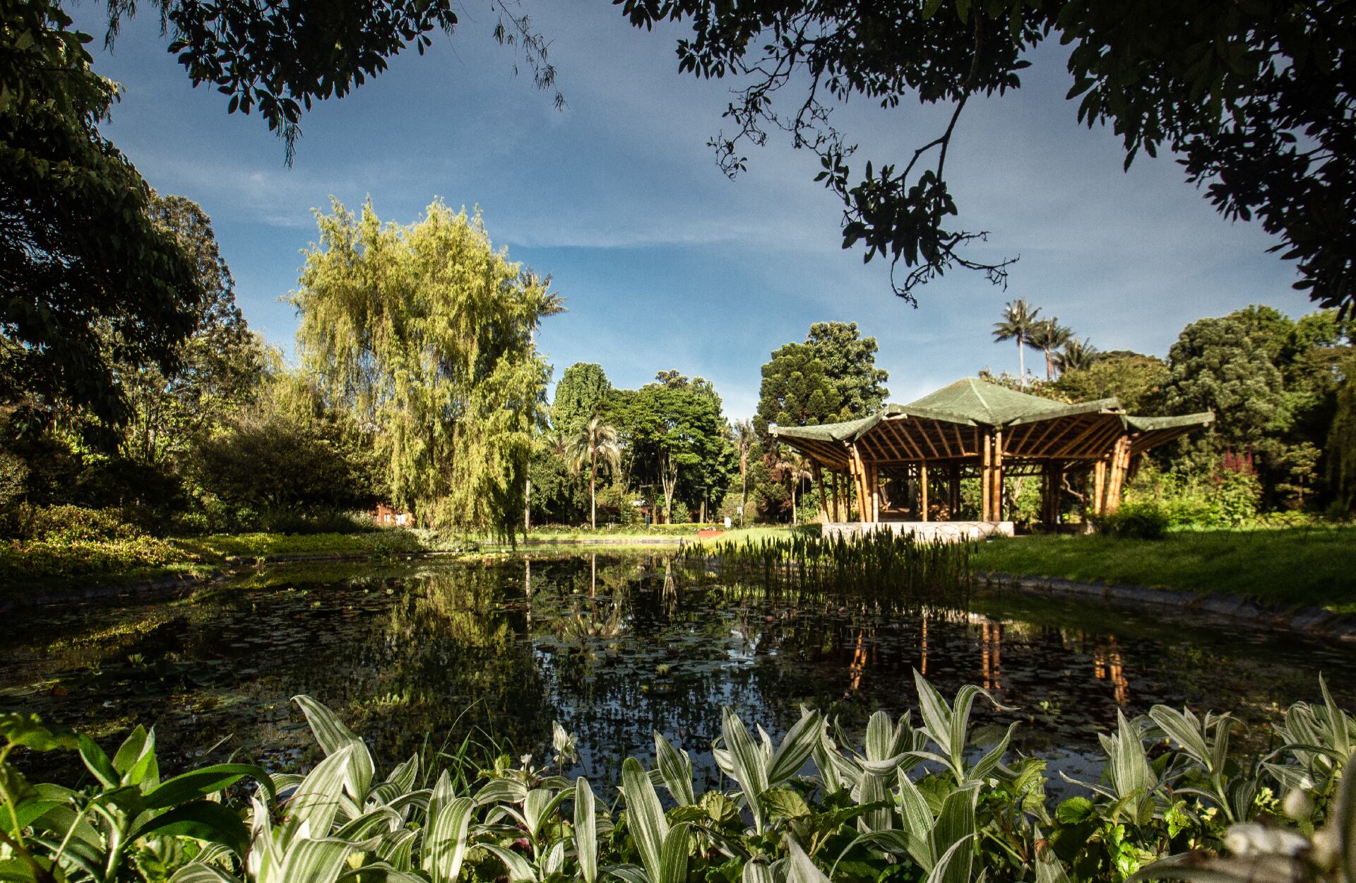 El Jardín Botánico estará abierto durante Semana Santa desde las 9:00 a.m. hasta las 3:00 p.m. y se podrán realizar recorridos guiados. Para el ingreso es indispensable reservar el día y la hora en la página www.jbb.gov.co.