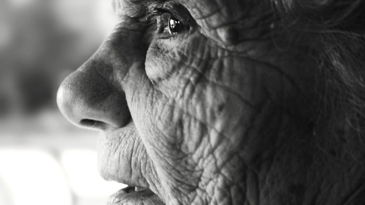 Para 2010 había 10 adultos por cada 100 adultos en edad activa y se espera que para 2100 la cifra aumente a 50.