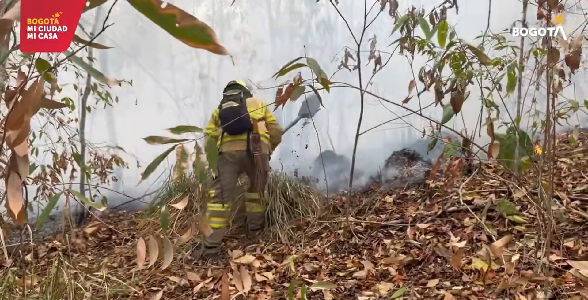 Bomberos de Bogotá culminan con éxito misión de emergencia por incendios en Cunday, Tolima.