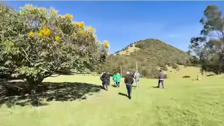 Investigan si ataques a ganado en La Calera son causados por un puma o por perros ferales.