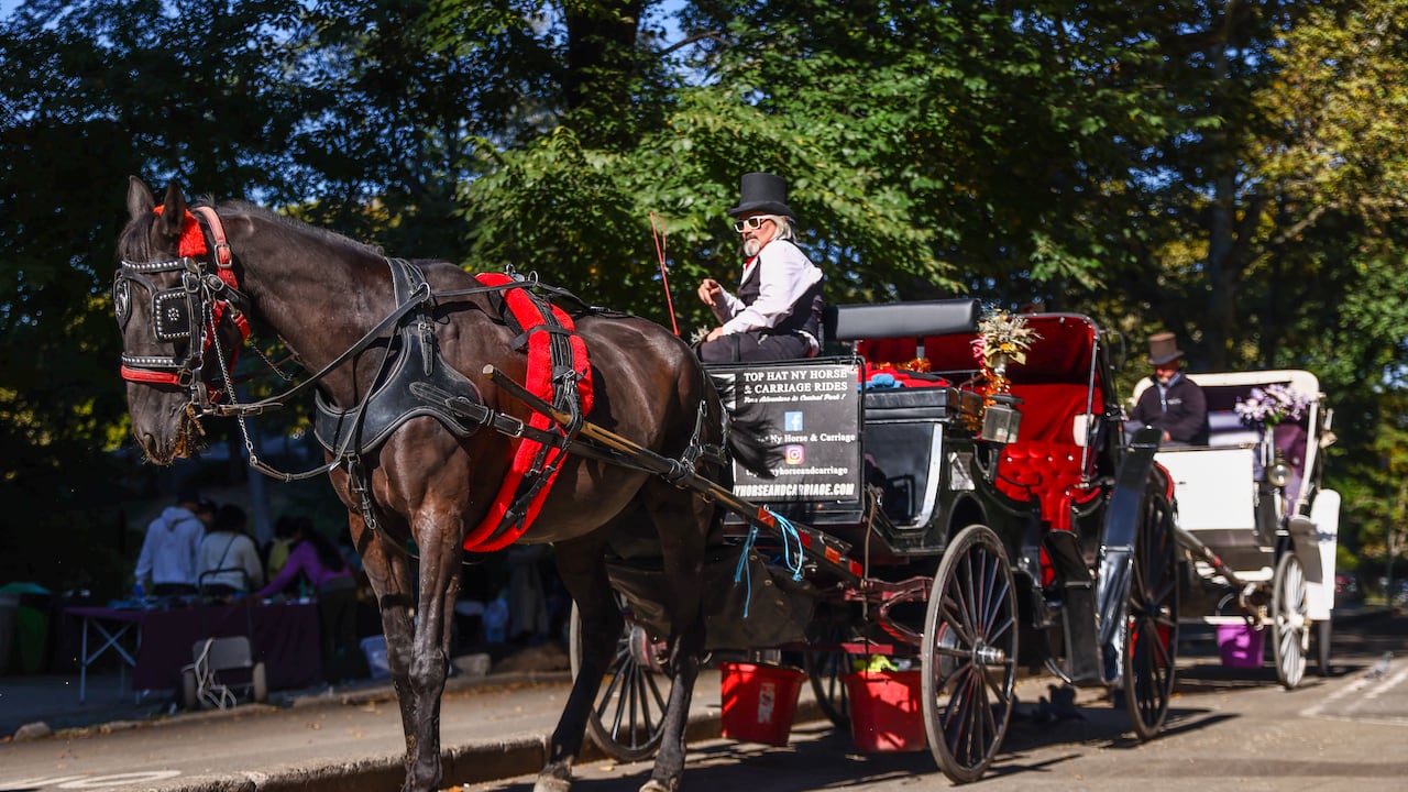 Un carruaje de caballos lleva a turistas por Central Park en Nueva York, Estados Unidos