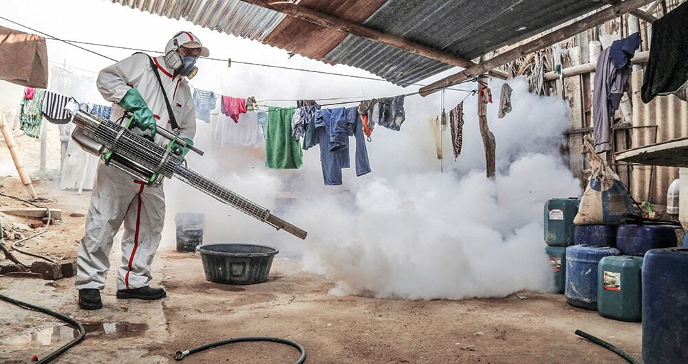 Dengue en Perú. 