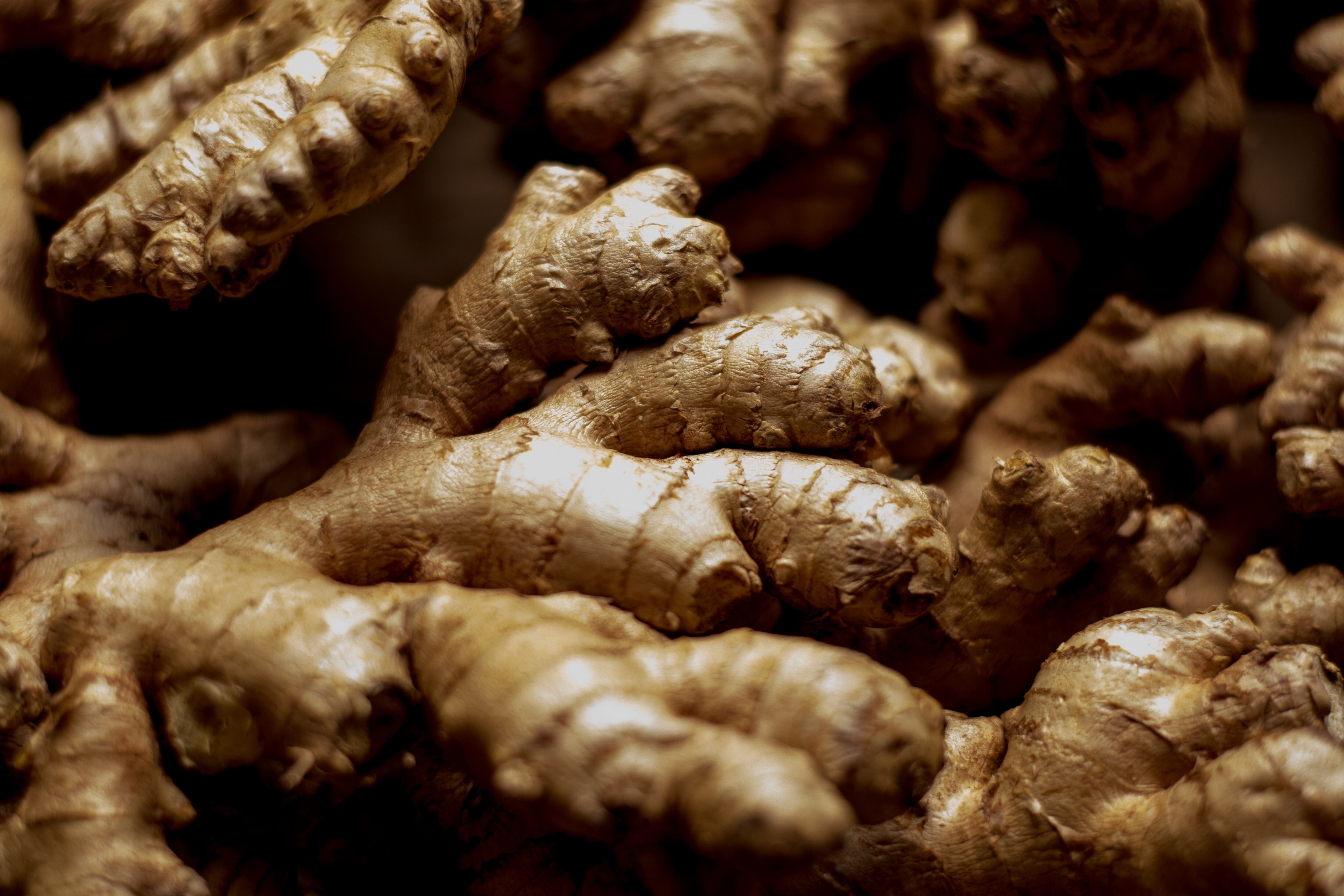 Cuidar adecuadamente su suministro de jengibre le permitirá disfrutar de sus beneficios culinarios y saludables en cualquier momento.