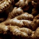 Cuidar adecuadamente su suministro de jengibre le permitirá disfrutar de sus beneficios culinarios y saludables en cualquier momento.