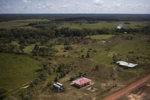 Cumaribo está ubicado en el departamento de Vichada y es el municipio más extenso del país.