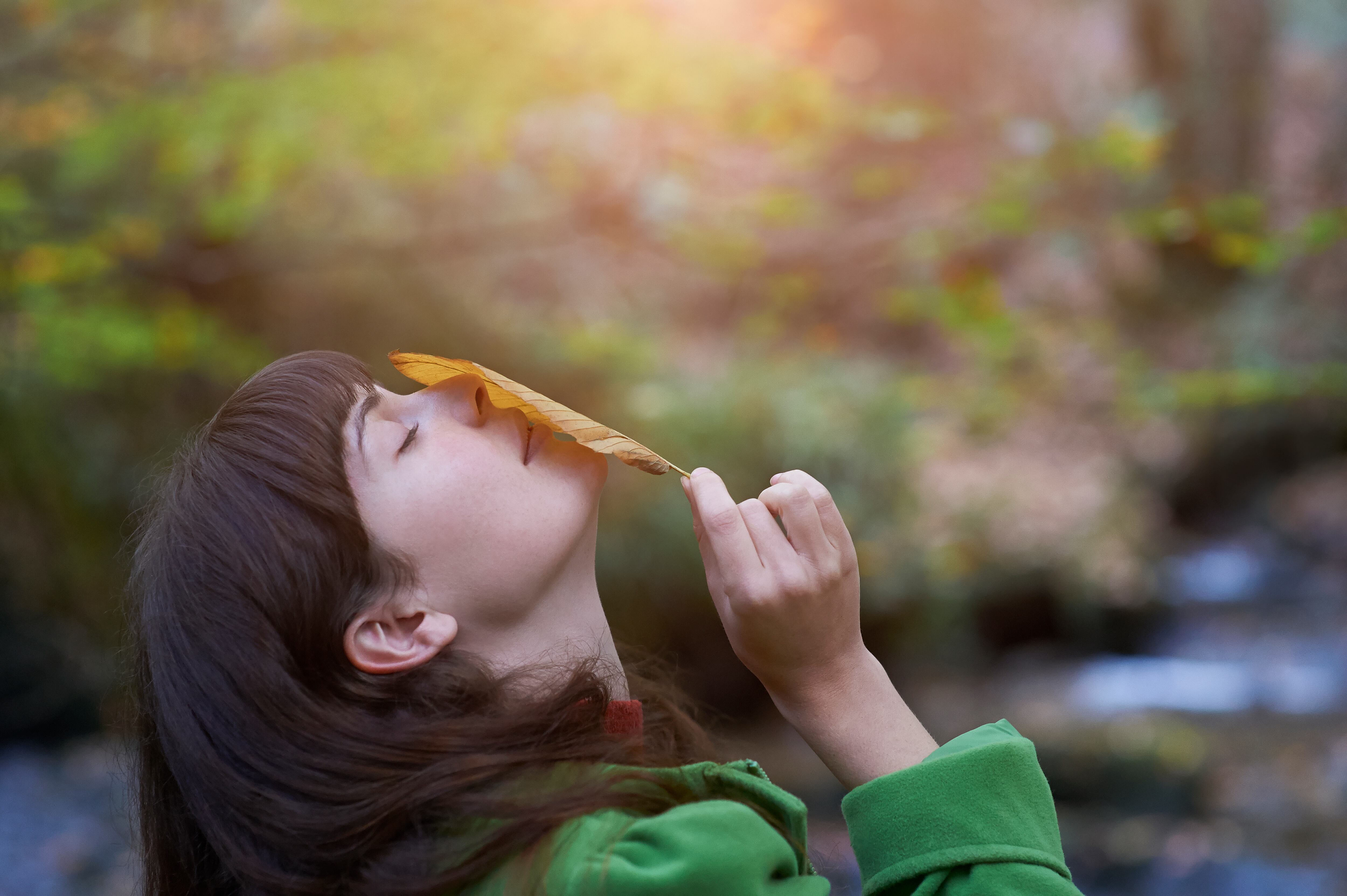 Olor / Nariz / Feromonas