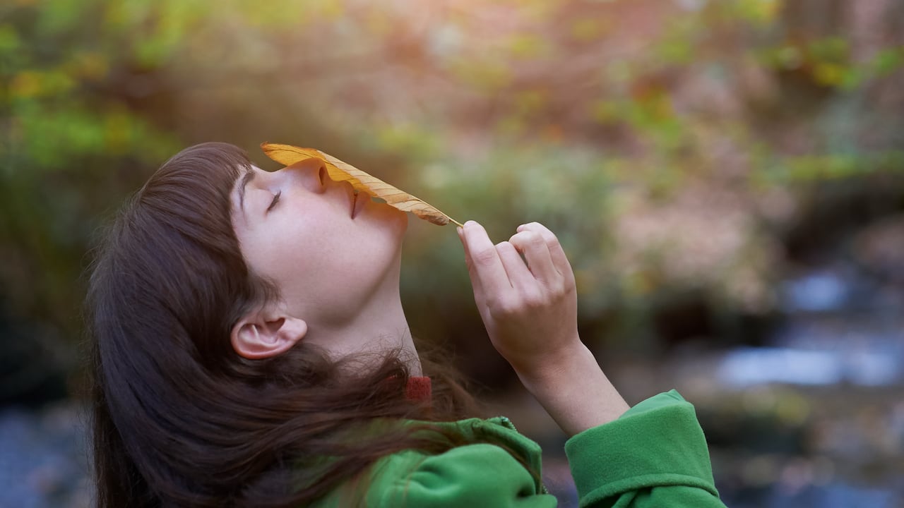 Expertos dicen que las feromonas son importantes para la comunicación interpersonal de los seres humanos.