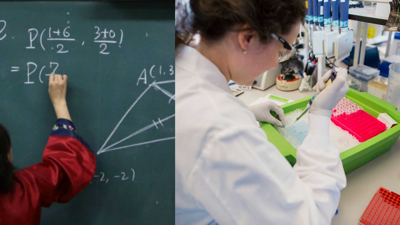 Los académicos de la Universidad Nacional, por su parte, analizaron cada uno de los puntos del Conpes y concluyeron que lo más viable era reescribir el documento.