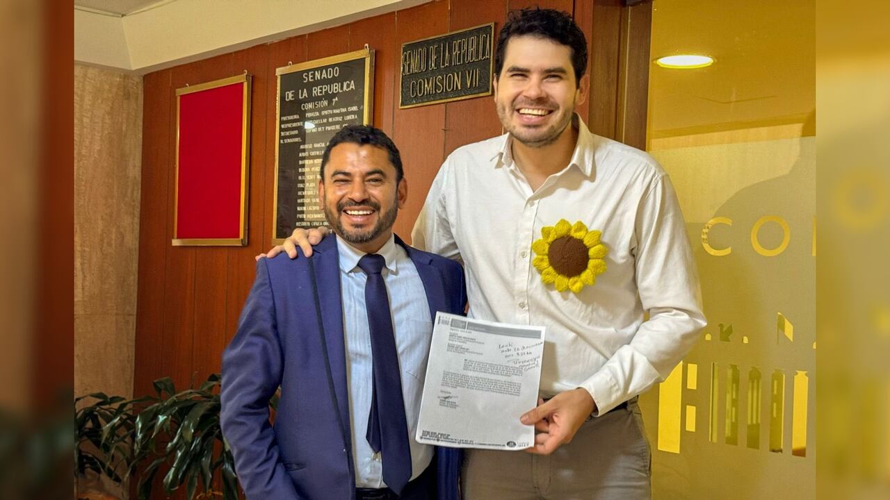 Fabián Díaz Plata presentó ponencia alternativa.
